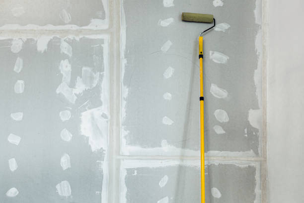 Best Black Mold Removal  in Spokane Valley, WA