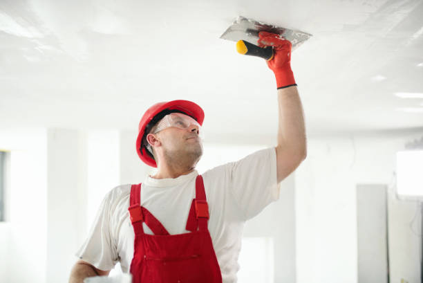 Best Real Estate Mold Inspection  in Spokane Valley, WA