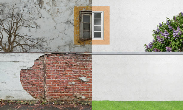 Best Commercial Mold Inspection  in Spokane Valley, WA