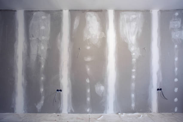 Best Post-Construction Mold Inspection  in Spokane Valley, WA